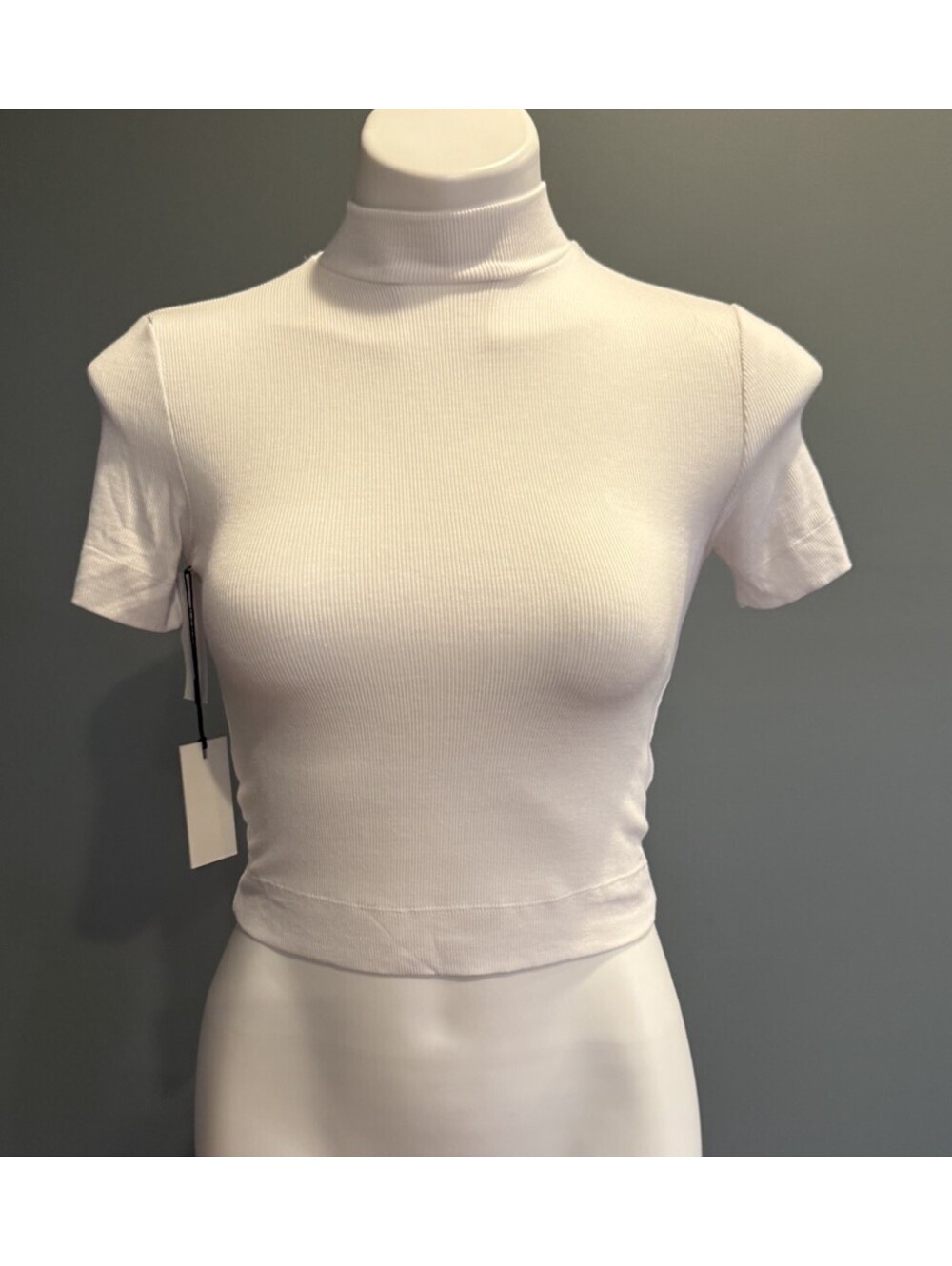 Aritzia Babaton Formarib Mockneck Short Sleeve Tee Sz XS NWT